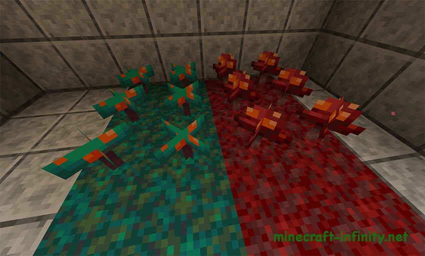 Искажённый и багровый грибок