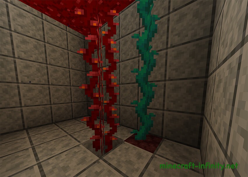 Плакучие и извилистые лианы