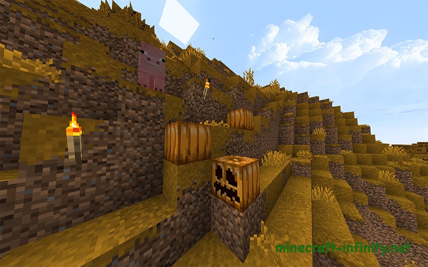 Autumn Pack by Fox_Homeless 3