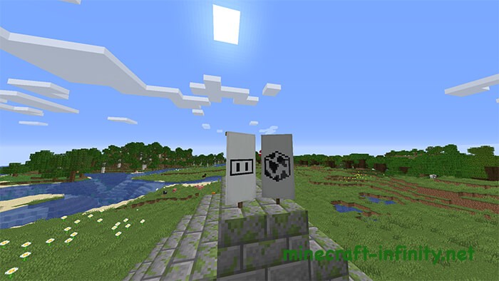 Флаги морда и глобус